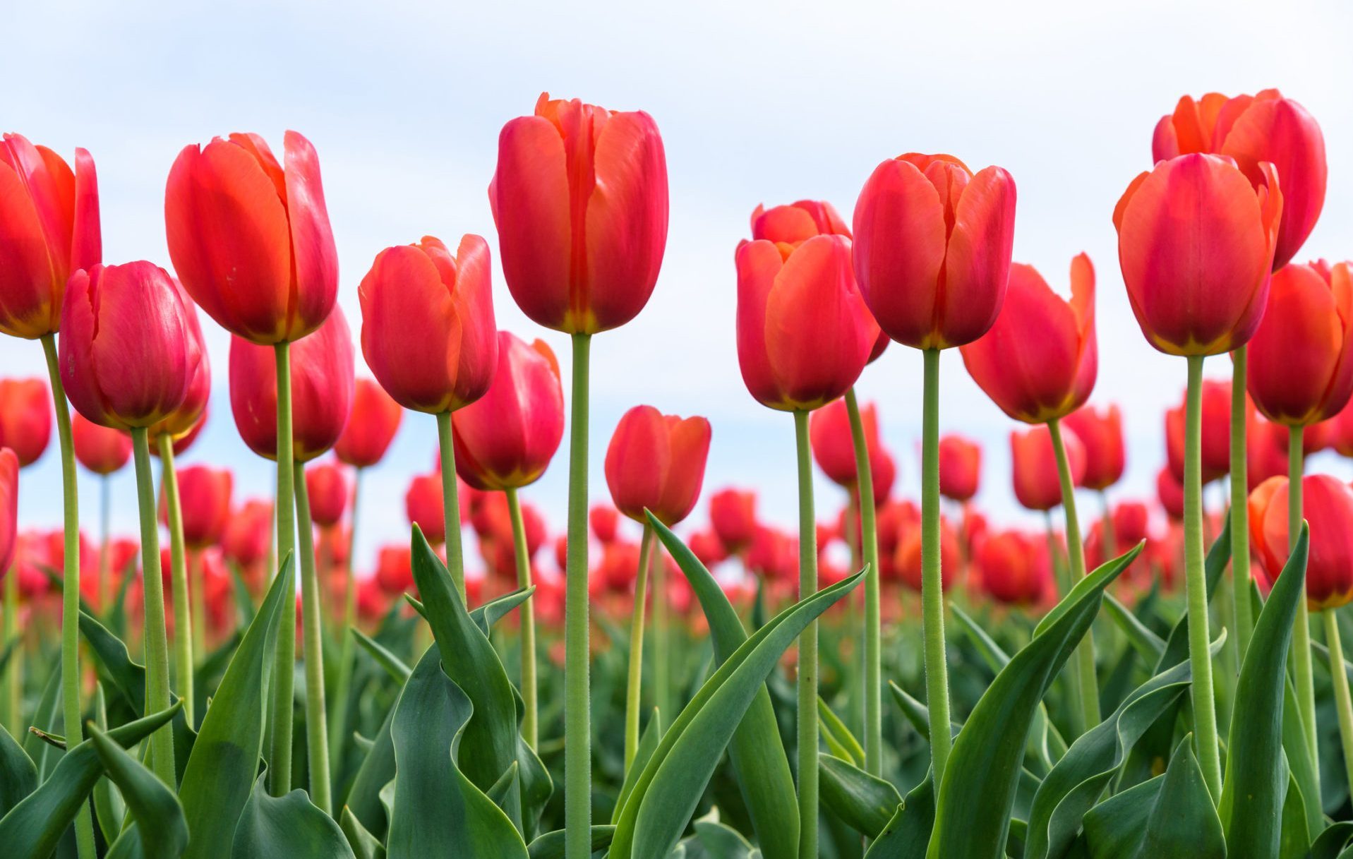 Huisartsenpraktijk van Kempen